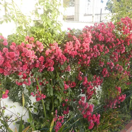 Jp Δωμάτια σε οικογενειακή κατοικία