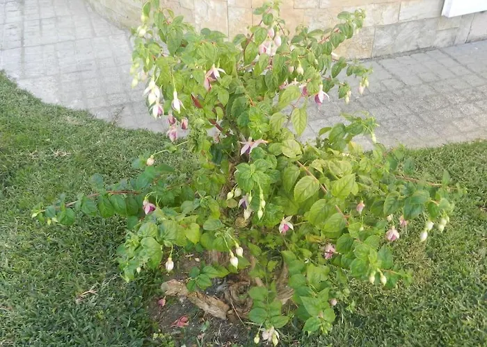 Jp Δωμάτια σε οικογενειακή κατοικία *