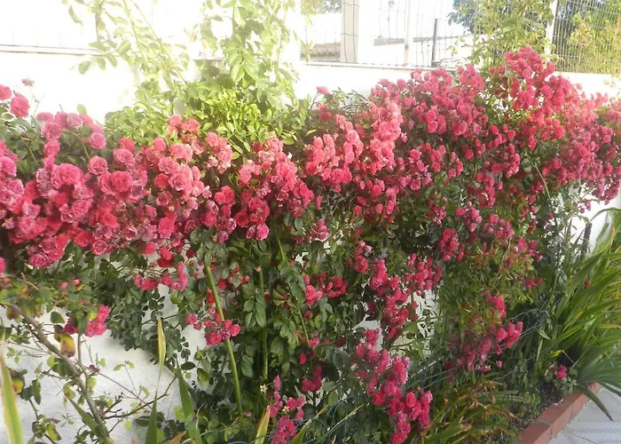 Jp Δωμάτια σε οικογενειακή κατοικία